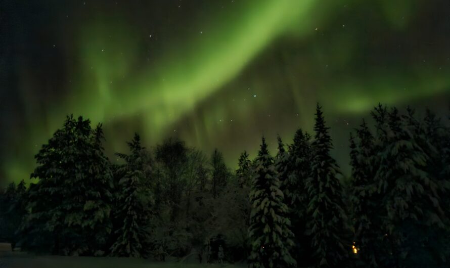 „Hei“ aus Finnland